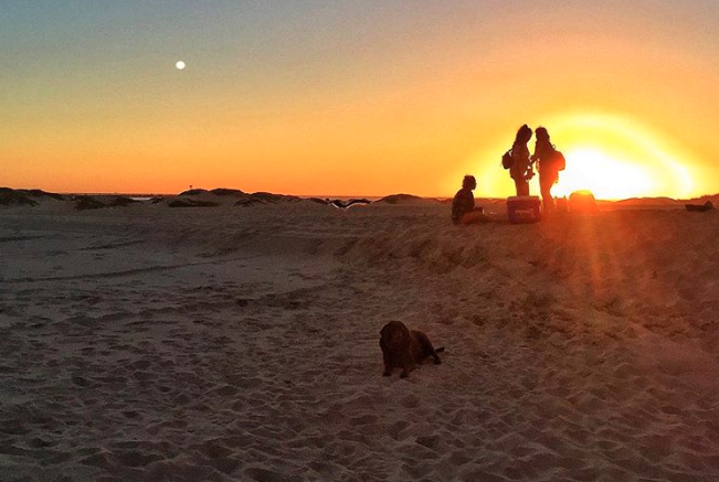 dog friendly beach in ventura at sunset