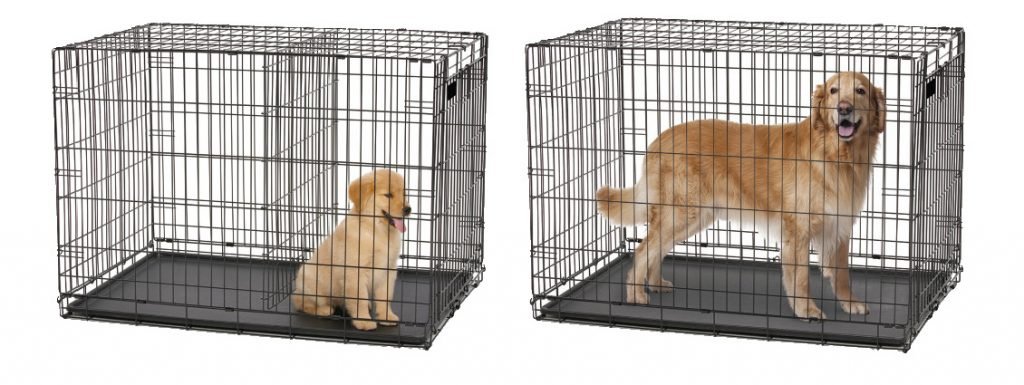 wire puppy crate