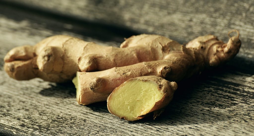 Can My Dog Eat Ginger? The Dog People by
