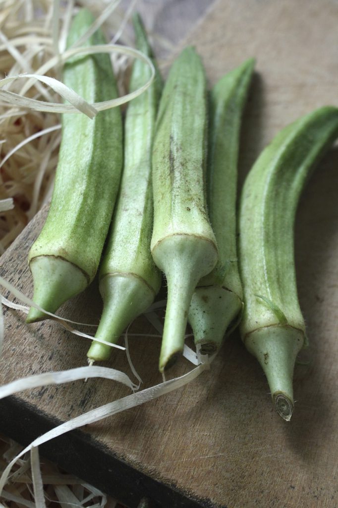 Can My Dog Eat Okra? The Dog People by