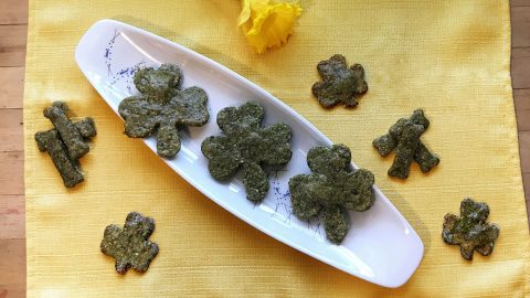 naturally green shamrock st patricks day dog cookies HERO