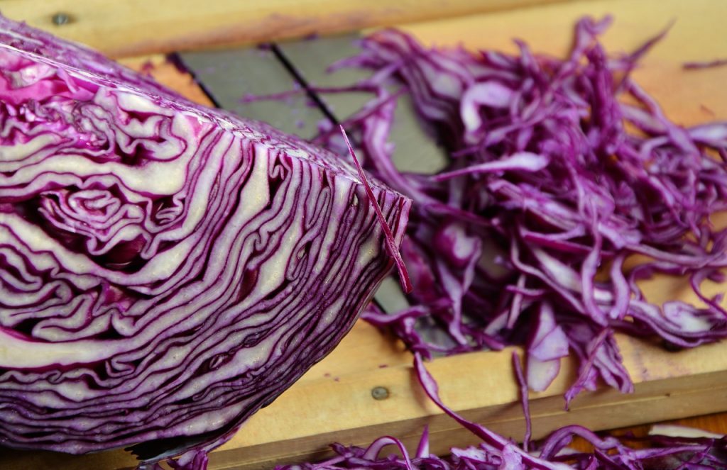 Can My Dog Eat Red Cabbage? The Dog People by