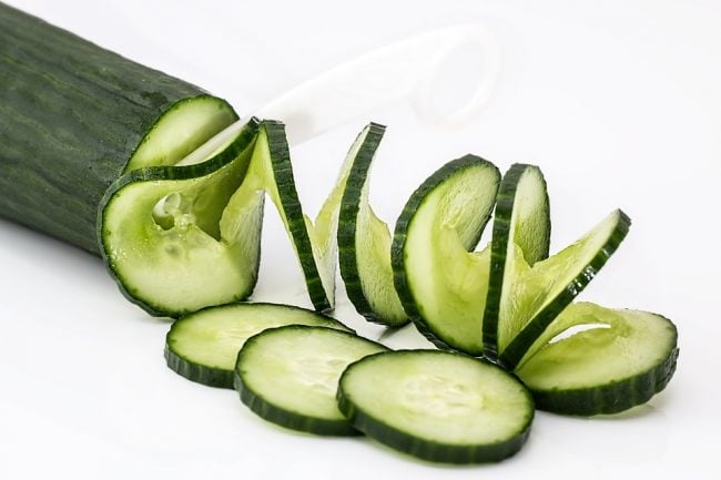Can dogs eat cucumbers such as this one?