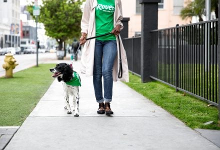 On-Demand Dog Walking with Rover