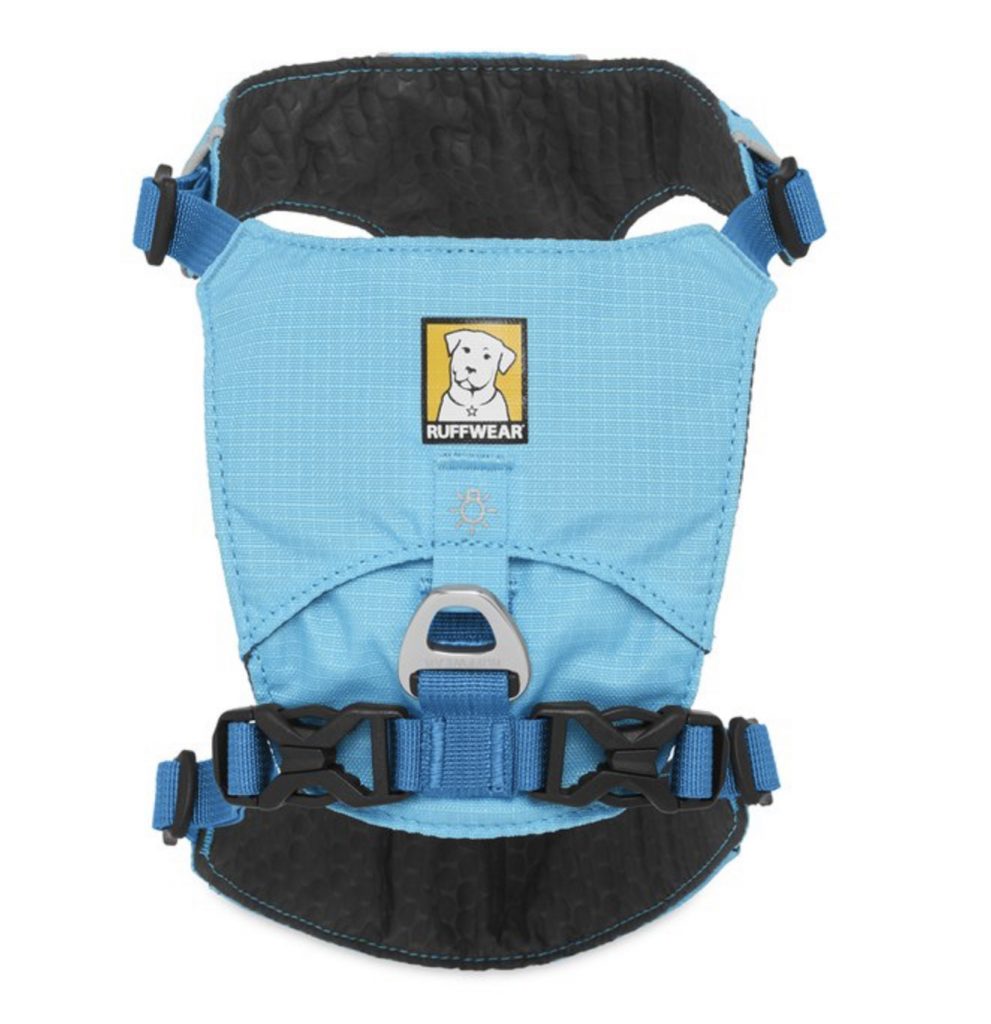 Best Small Dog Harnesses Your Guide to Small Dog Harnesses for 2020