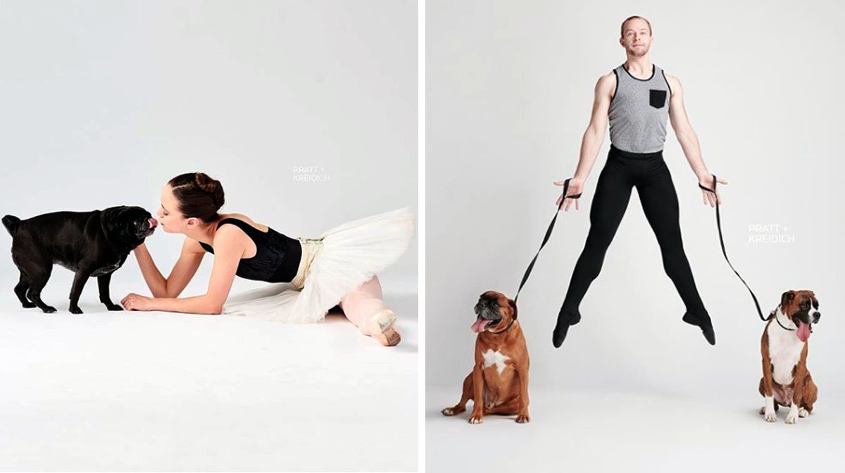 Ballet Dancers and Rescue Dogs Star in Charming Photo Series The Dog