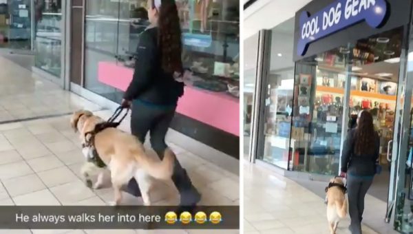 Outrageous Dog Boarding Outrageous Dog Boarding