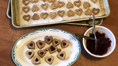 peanut butter and jam sandwich cookies for dogs HERO