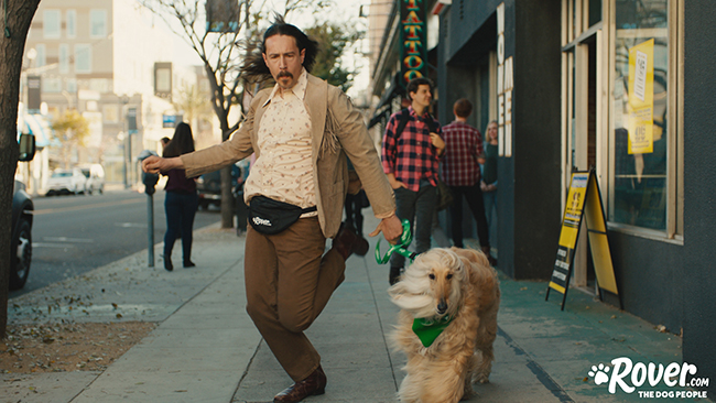 talon the afghan hound rover walk it out