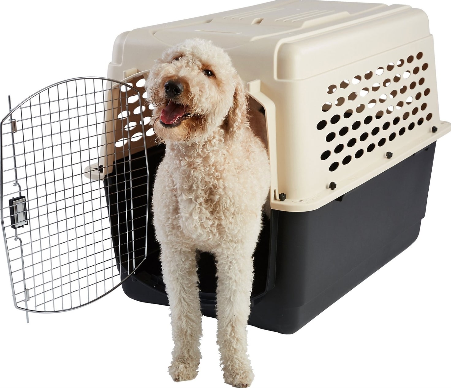 the range dog travel crate