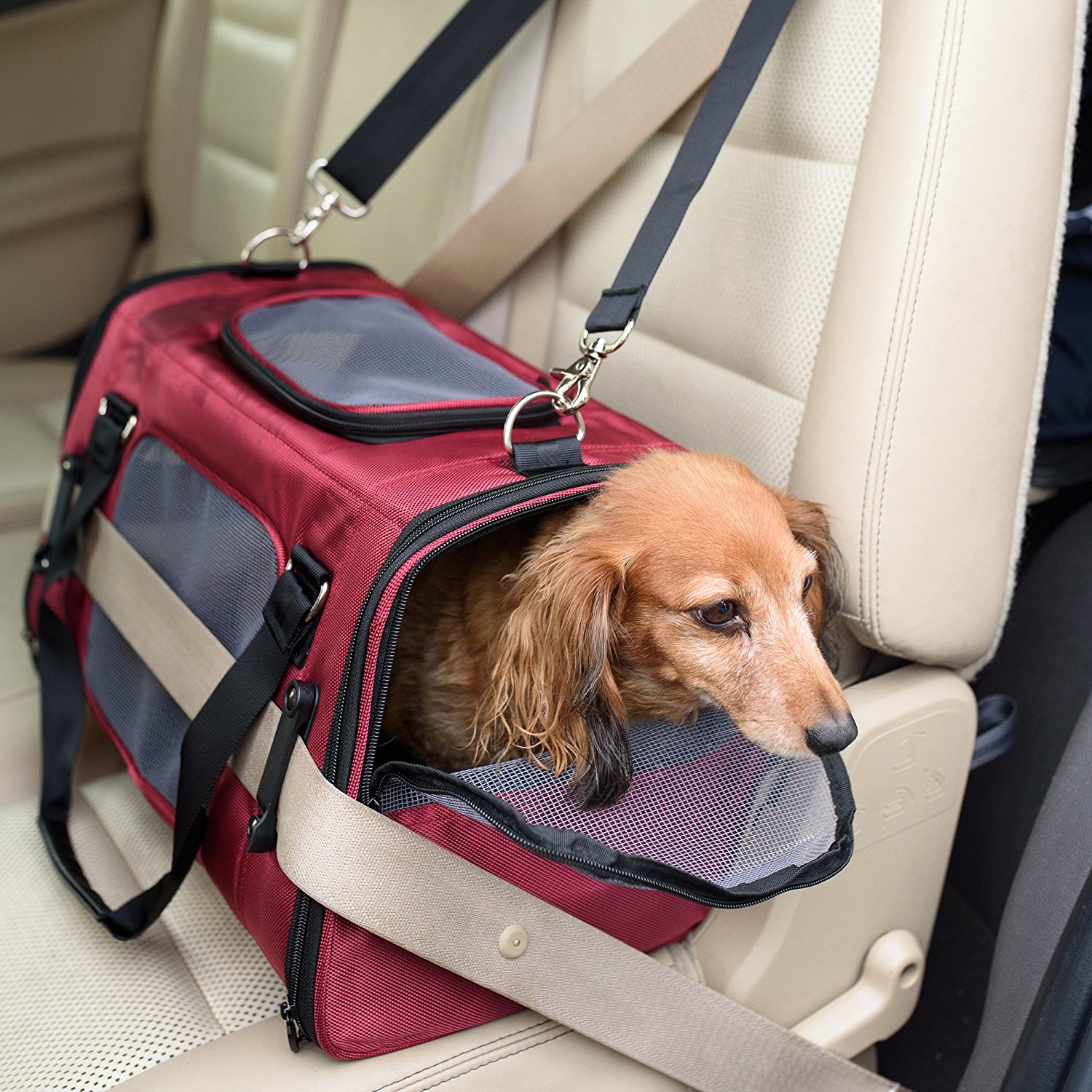 travel dog crate for car