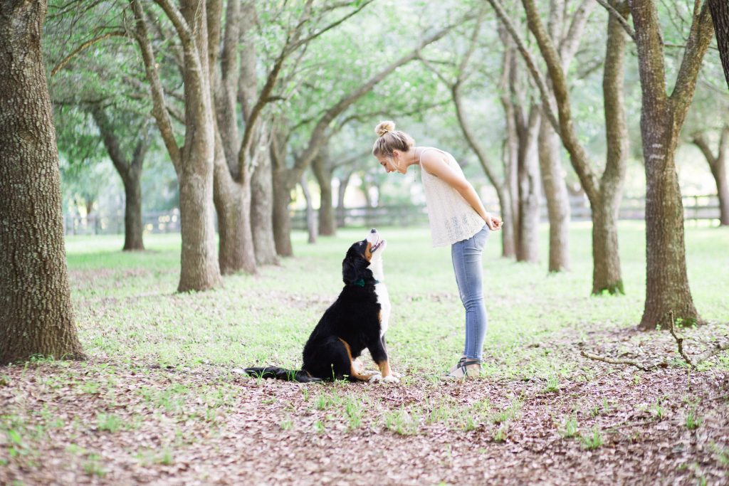 A woman bends down, smiling, towards her large dog, training to not jump up.