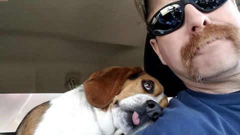 freedom ride beagle HERO