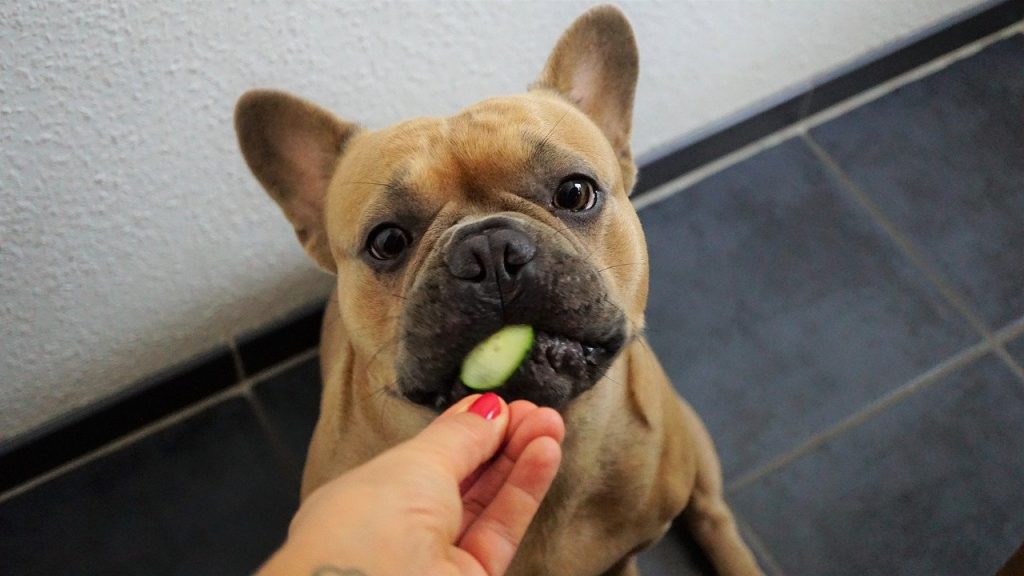 veggie treats for dogs