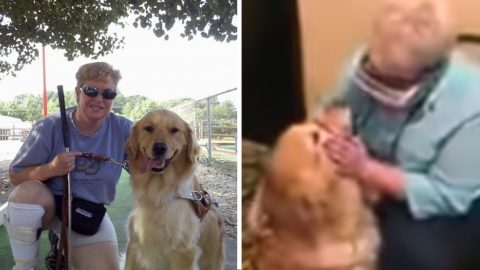 mary sedgwick sees guide dog first time HERO
