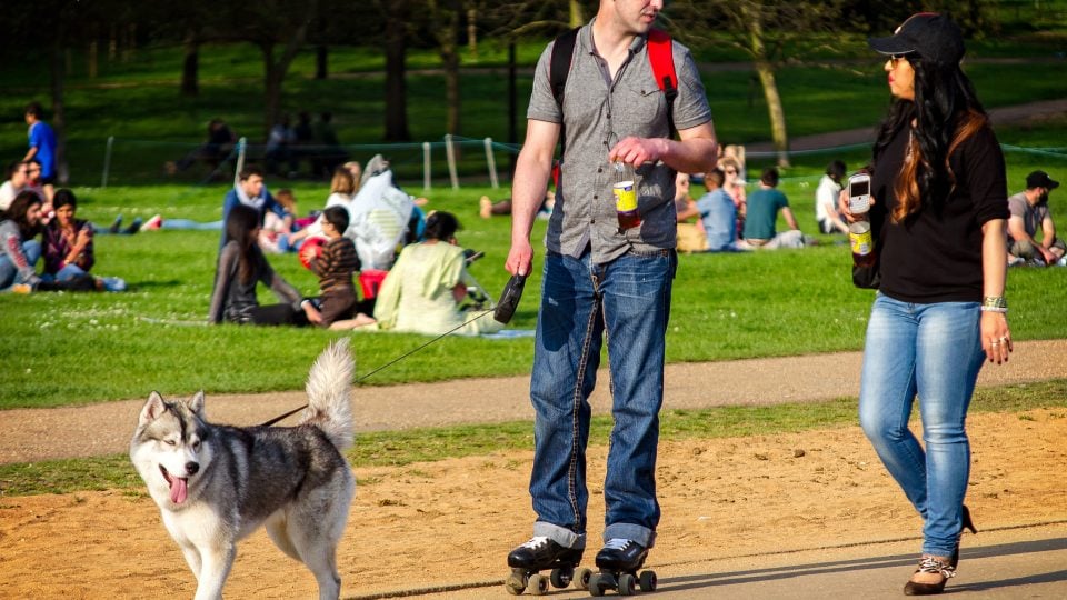 The Top 10 Dog Parks in London The Dog People by
