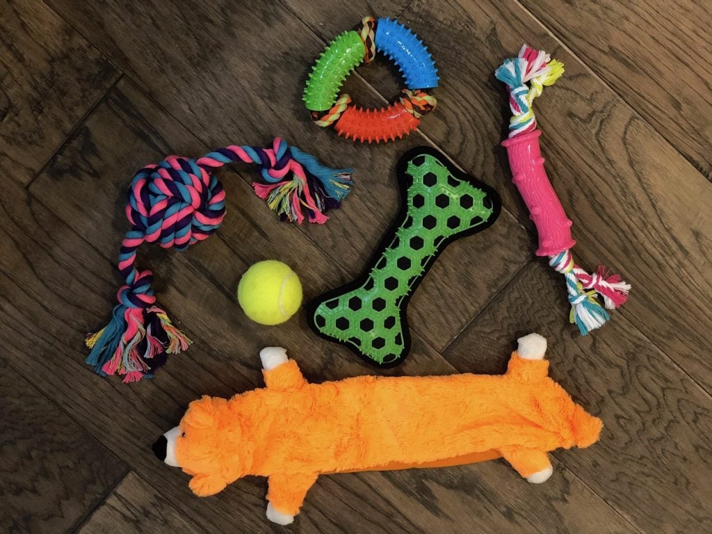 A variety of chew toys for dogs