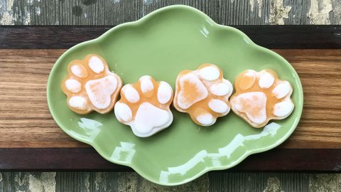 cantaloupe and yogurt pawprints