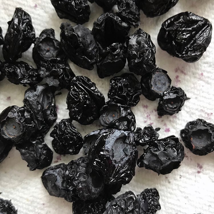 dehydrated blueberries for dogs