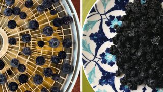 dogs and fruit snacks