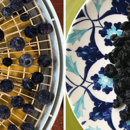 Dehydrated Fruit Treats for Dogs Are the Ultimate Vitamin Delivery