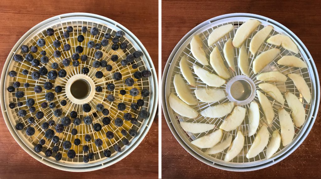 Dehydrated Fruit Treats for Dogs Are the Ultimate Vitamin Delivery