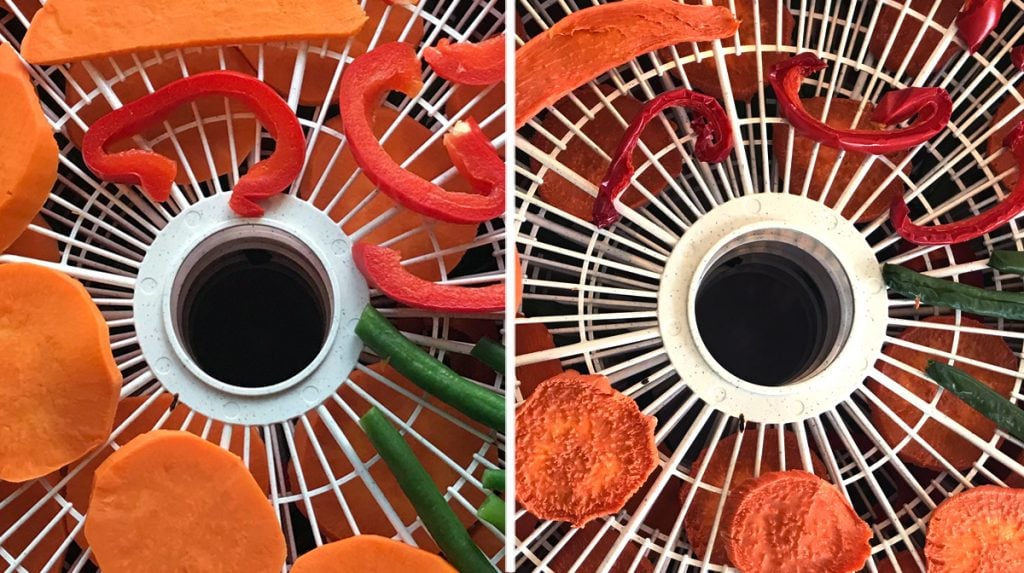 Dehydrated Veggie Treats for Dogs Cheap, Healthy, and Homemade The