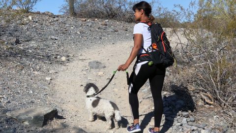 hiking with hands free dog leash