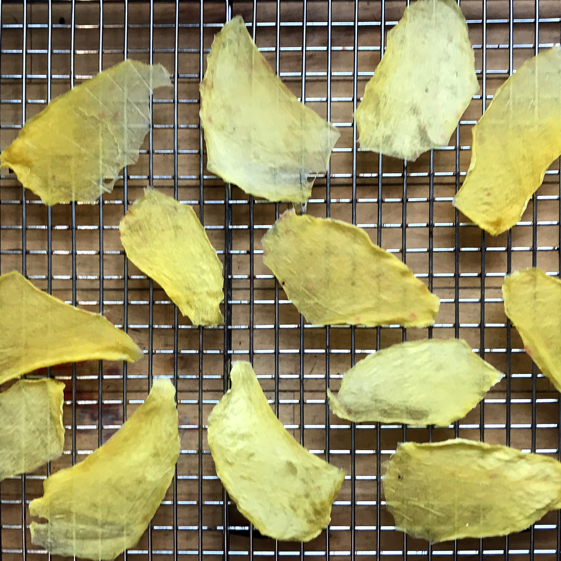 paper thin dehydrated mango slices