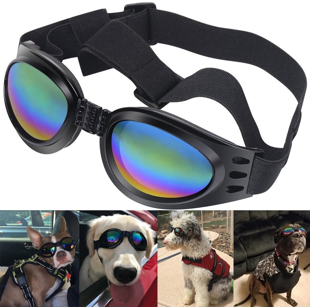 Qumy dog goggles with photos of different dogs underneath wearing them in cars and outside