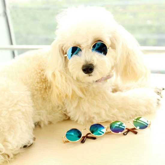 Dog Sunglasses Best Dog Goggles and Sunglasses 2020