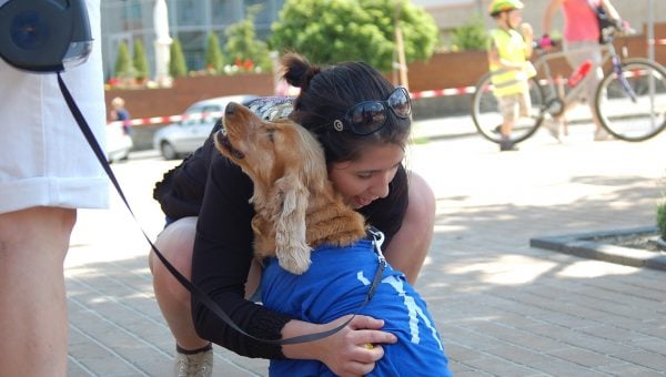 Why Do Dogs Bark When People Hug Why Do Dogs Bark When People Hug