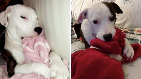 things that make you say awwww HERO