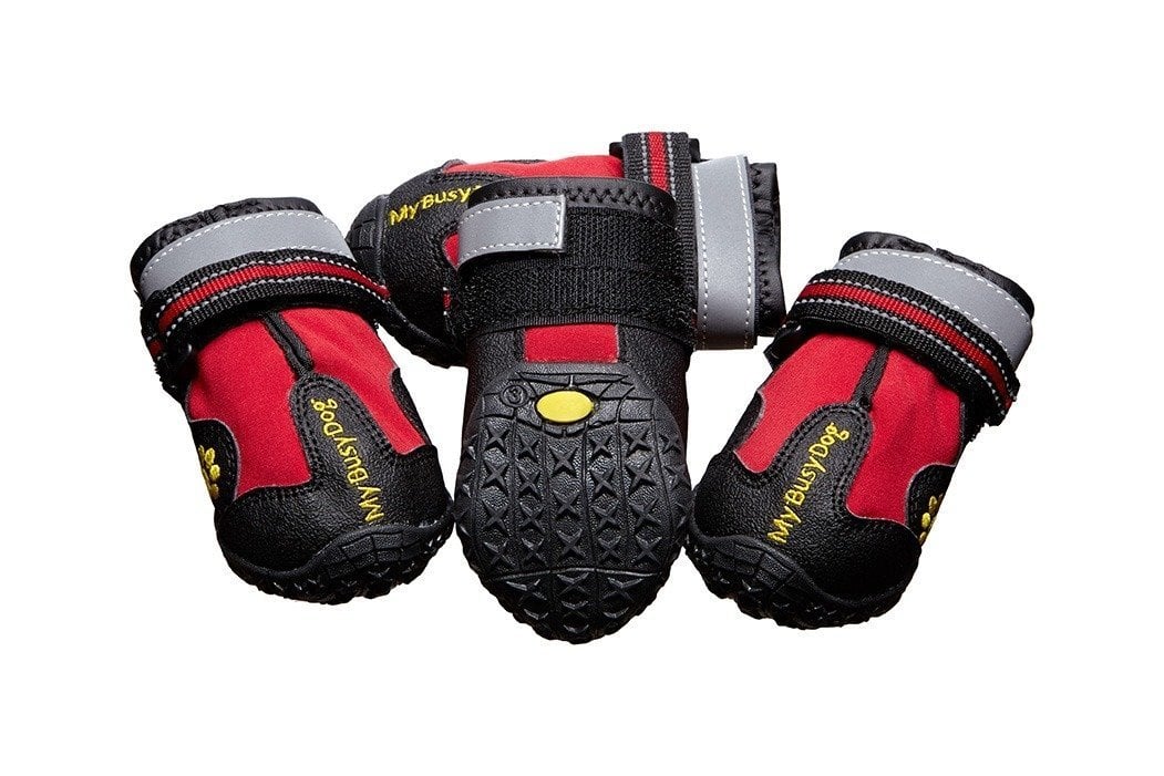 protective dog shoes