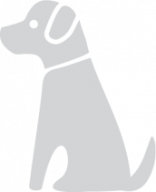 A simple dog drawing