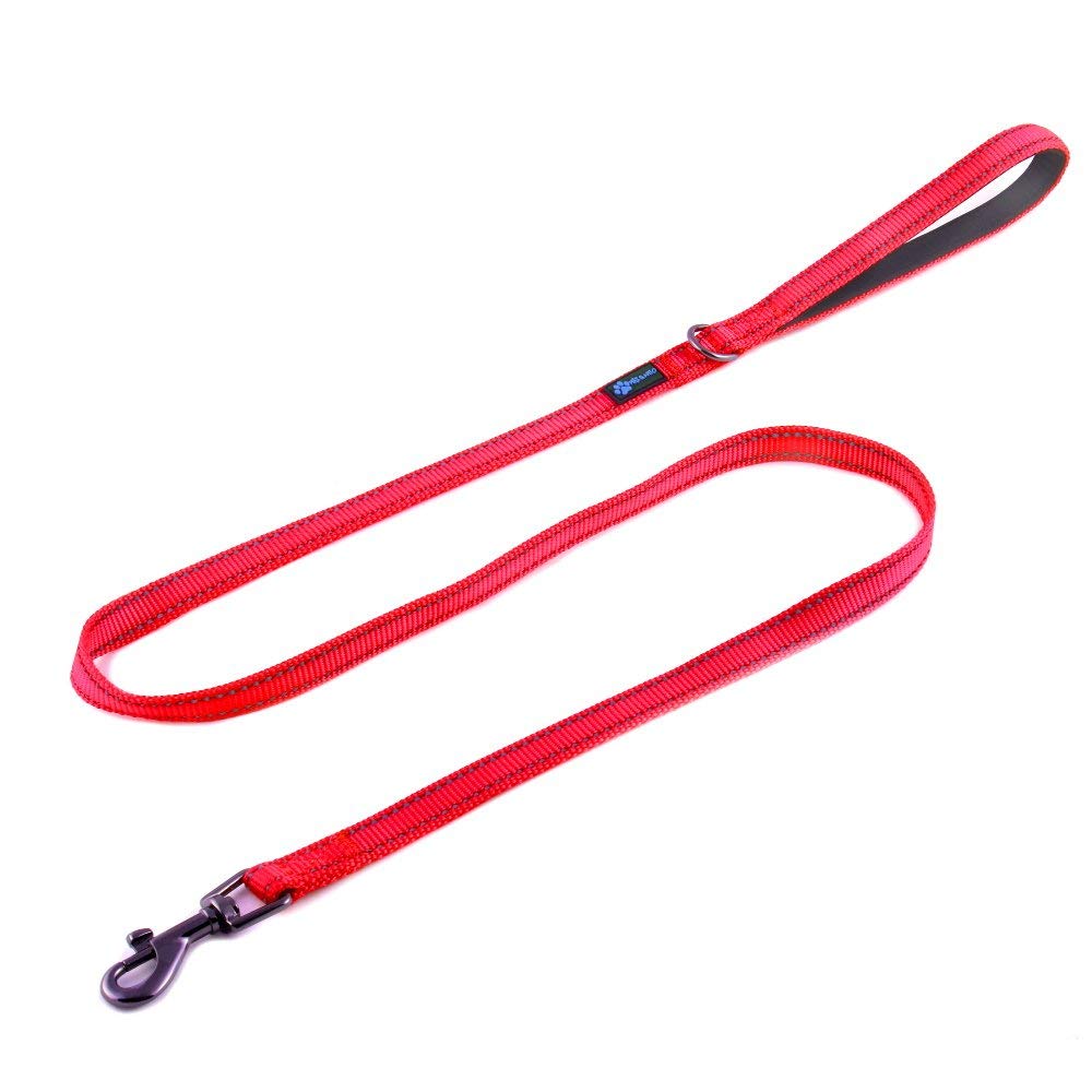 5 Best Leashes for Shih Tzus The Dog People by