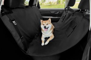 dog lying down on black Frisco Water Resistant Hammock Car Seat Cover in back of car