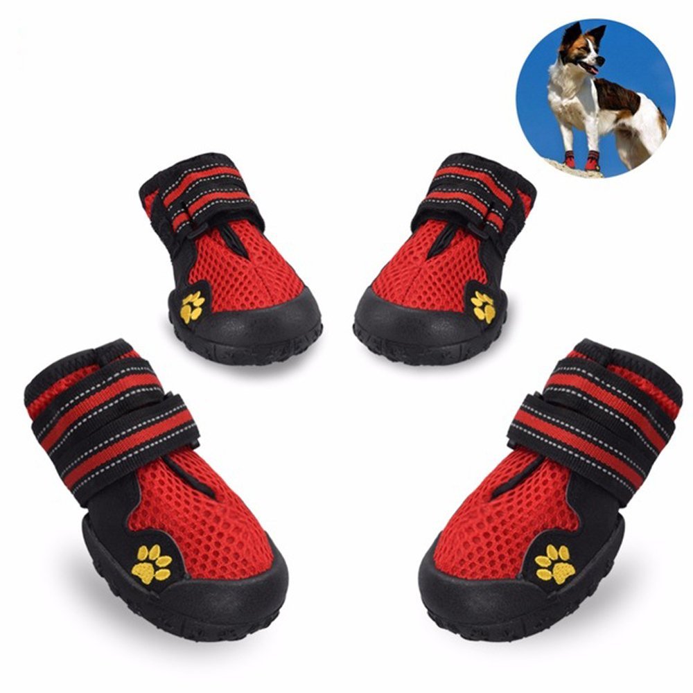 Dog Shoes For Running On Pavement Dog Shoes For Running On Pavement