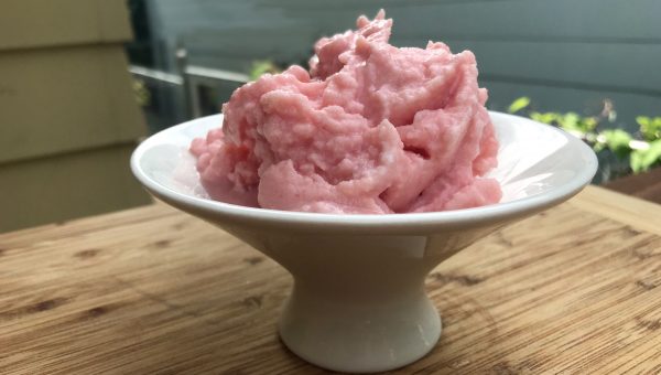 dr karen becker bone broth for dogs