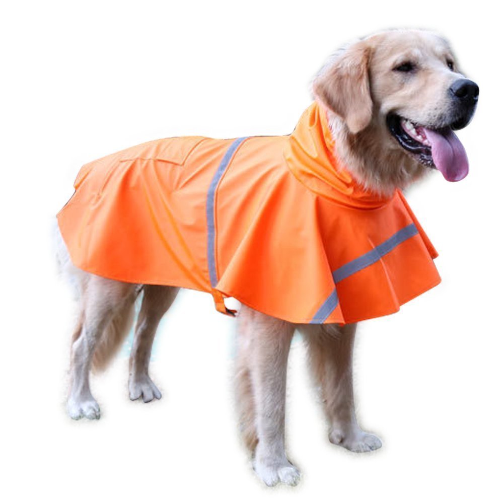 7 Great Accessories for Golden Retrievers | The Dog People by Rover.com