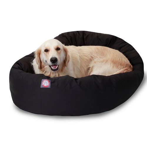 Golden Retriever in black bagel dog bed