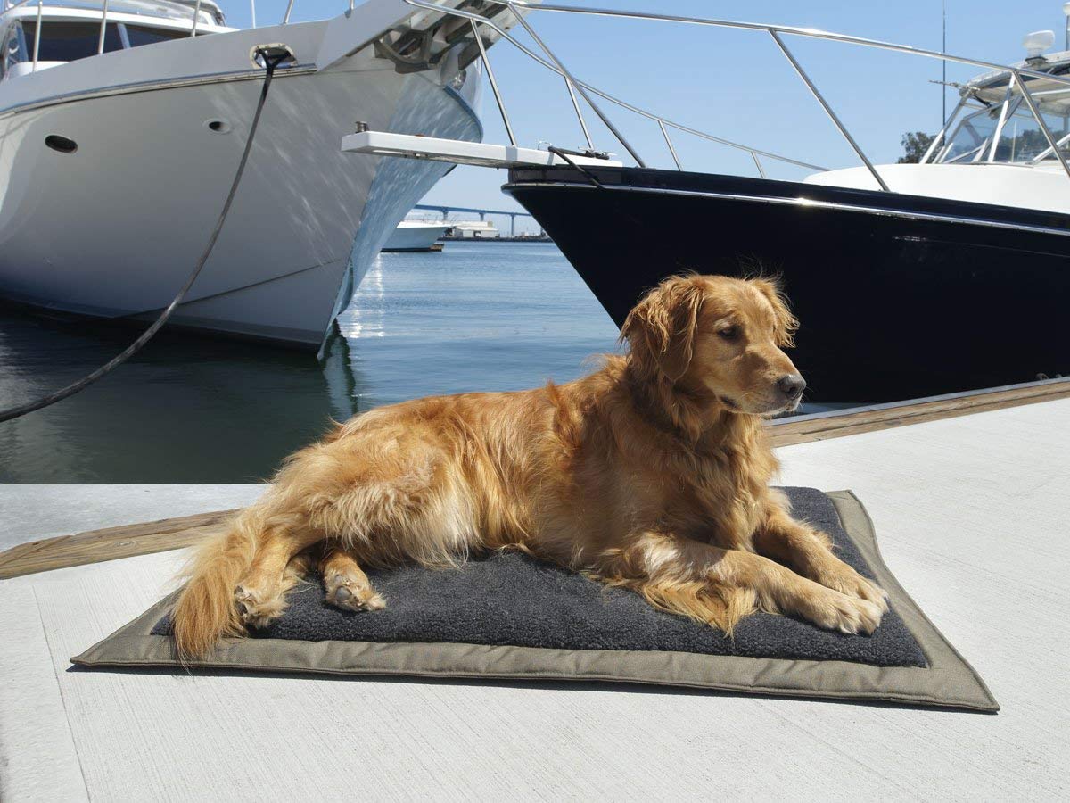 Top 6 Golden Retriever Dog Beds The Dog People
