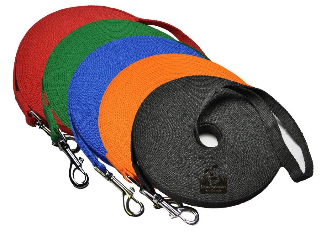 Five colorful leashes wound into flat circles on display