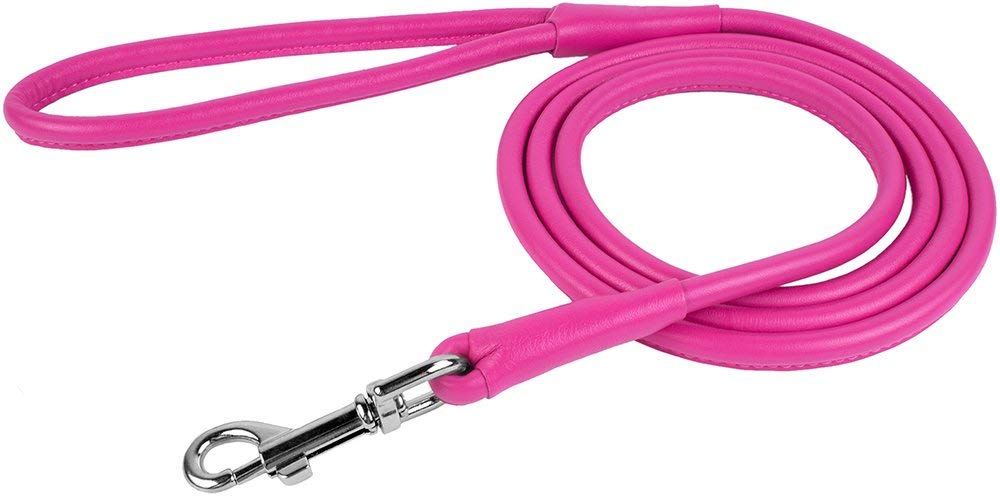 5 Best Leashes for Shih Tzus The Dog People by