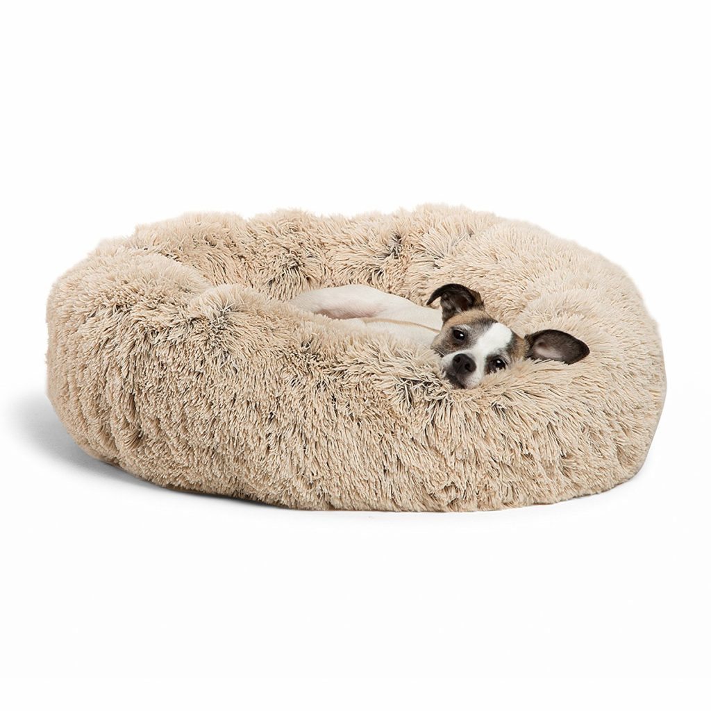 5 Best Dog Beds for Shih Tzus The Dog People by
