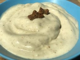 can dogs have vanilla ice cream