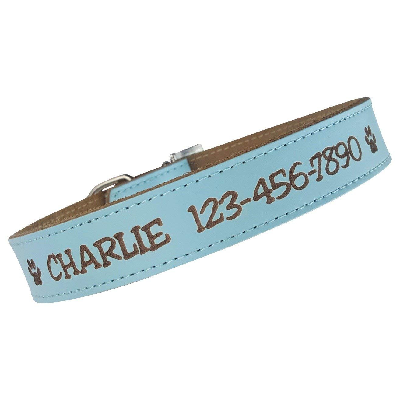 dog collar shih tzu accessories 