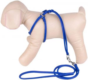 leather dog harness