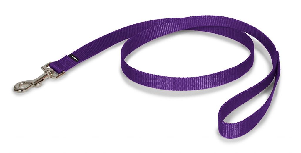 5 Best Leashes for Shih Tzus The Dog People by