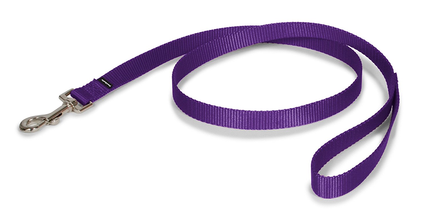 best leash for shih tzu